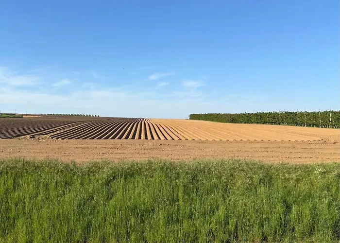 Gastenverblijf Chambre Damis - Geniet Van Haspengouw, Buiten En Binnen!