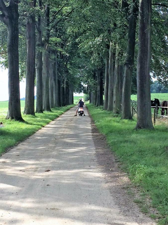 Damis - Geniet Haspengouw, Buiten En Binnen! Heers